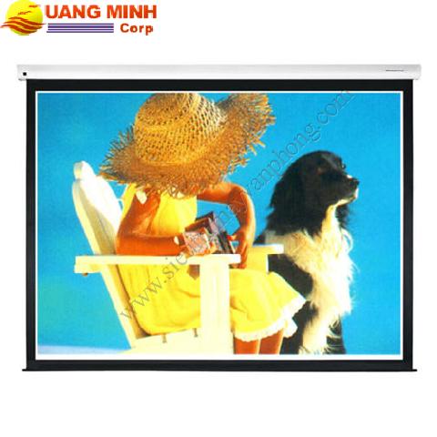 Màn chiếu treo FujiMax